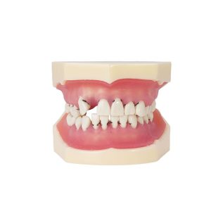 periodoncia Bader – 0905109