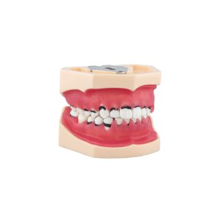 periodoncia completo Bader – 0905113