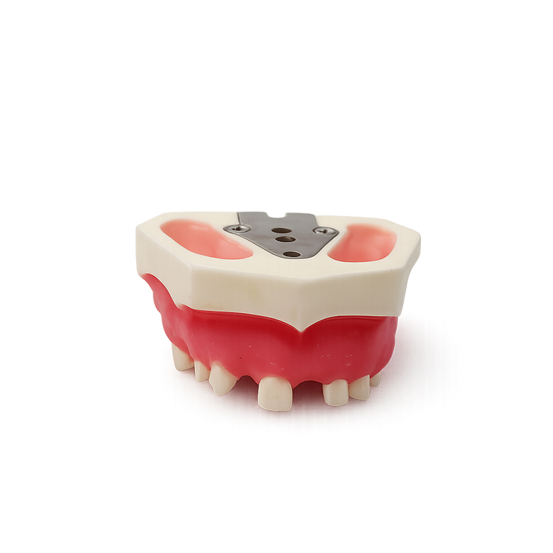 tipodonto dental Bader – 0905152