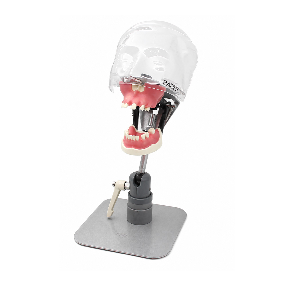 fantoma dental Bader – 0905161
