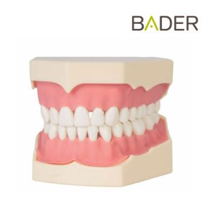 tipodonto dental Bader – 0905000